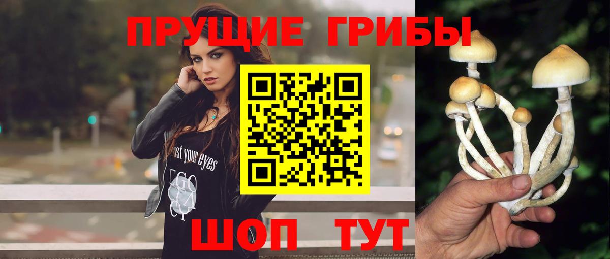 Псилоцибиновые грибы Psilocybe  где найти наркотики  Лесной  Вход с VPN 