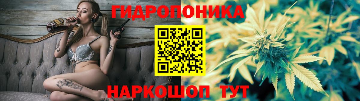 Лесной  Конопля Ganja  МАРИХУАНА VHQ  Вход с VPN  Шишки марихуана планчик  МАРИХУАНА LSD WEED 